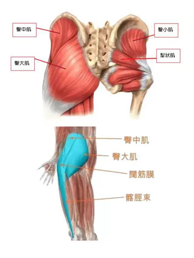 最新臀療手法視頻，探索臀部美麗與健康之道