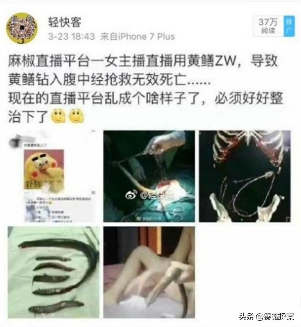 黃鱔事件揭秘，探究背后的真相與廣泛影響