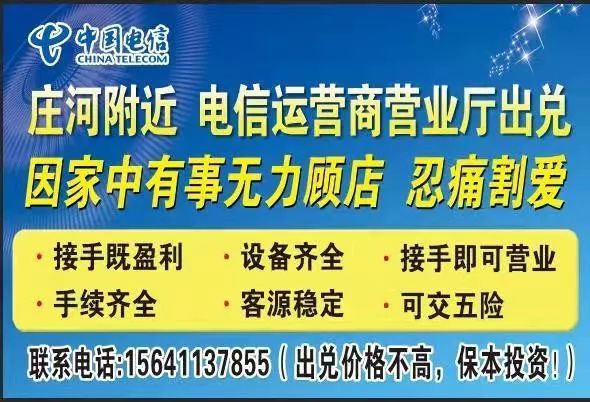 莊河最新招聘網(wǎng)，人才與機(jī)遇的橋梁