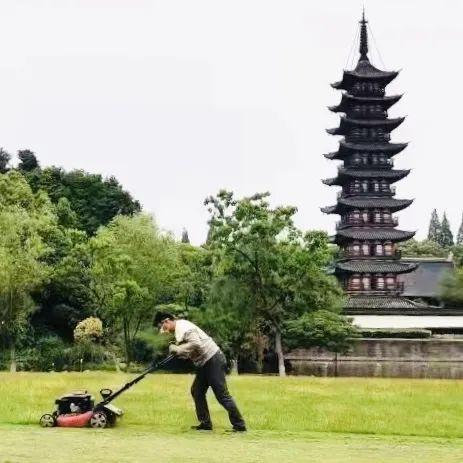 中山年票最新動(dòng)態(tài)，政策調(diào)整及未來(lái)展望