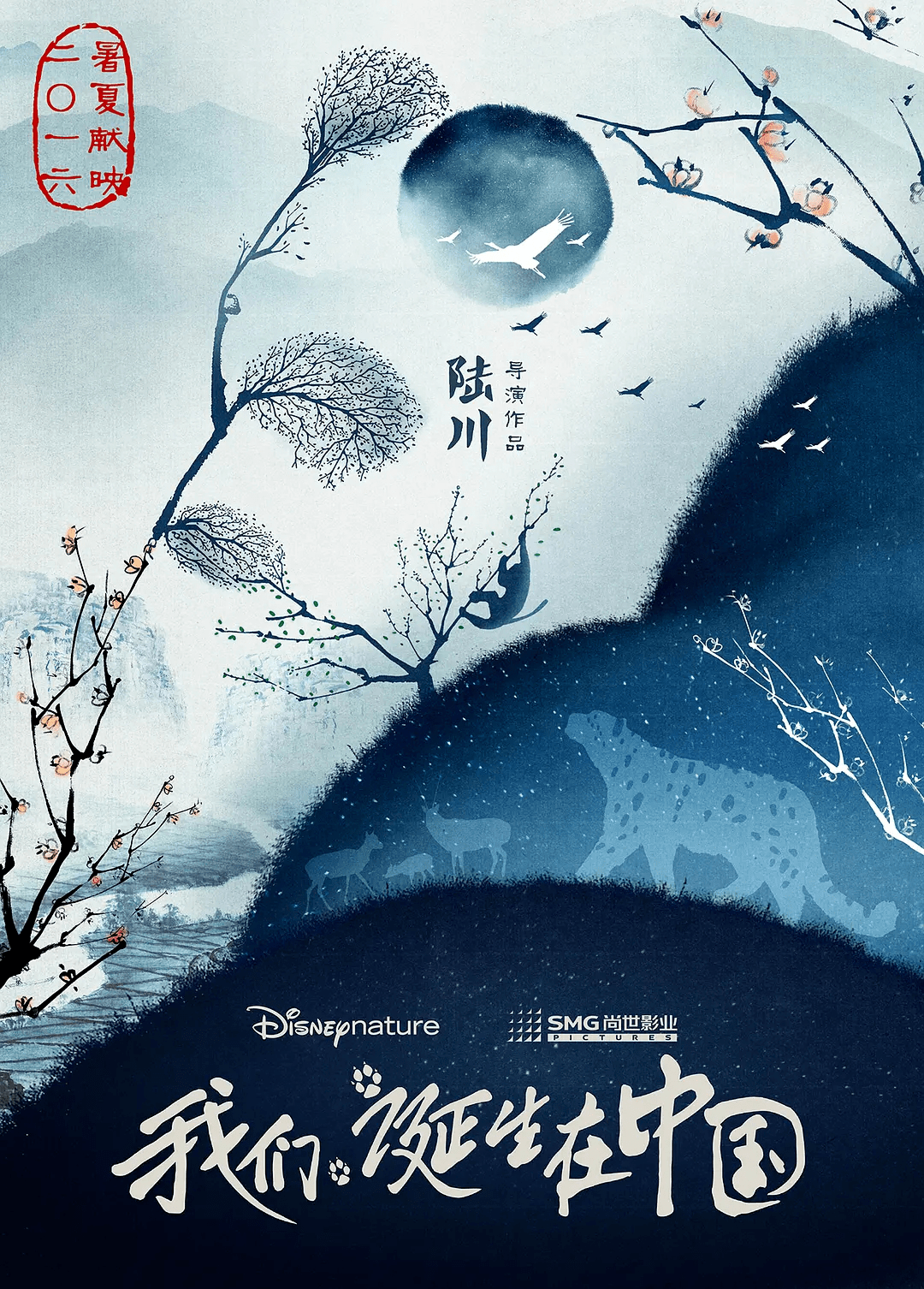 中國(guó)魅力，紀(jì)錄片我們誕生在中國(guó)下載