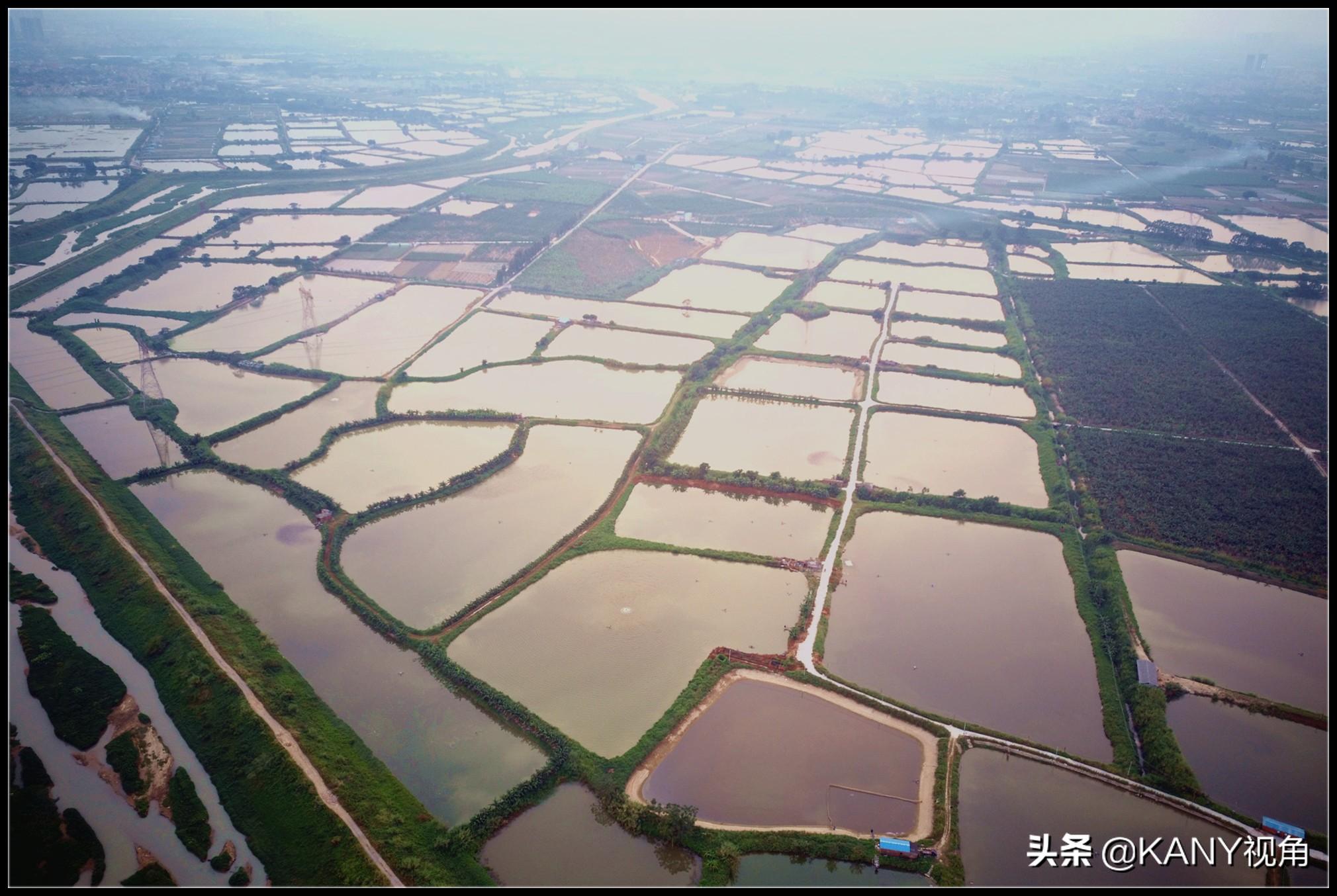 石灣喜斯達招聘啟事，職位空缺等你來挑戰(zhàn)