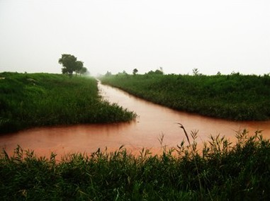 王穩(wěn)莊鎮(zhèn)土地動態(tài)，最新消息深度解析