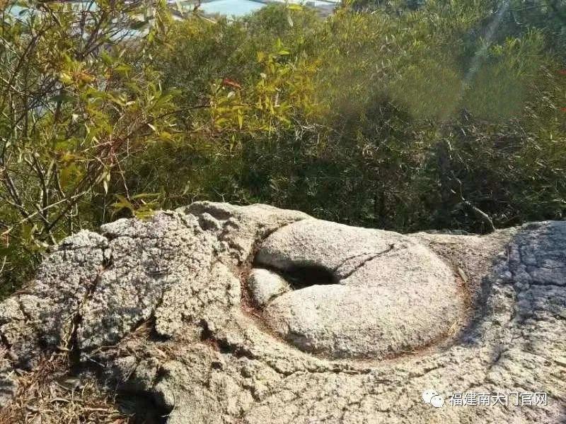 詔安時(shí)代國際最新消息深度解讀與分析