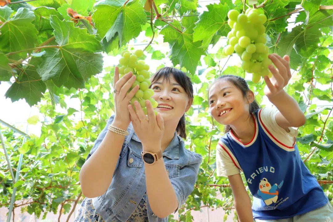 南華村委會新項目啟動，鄉(xiāng)村振興新動力重磅來襲